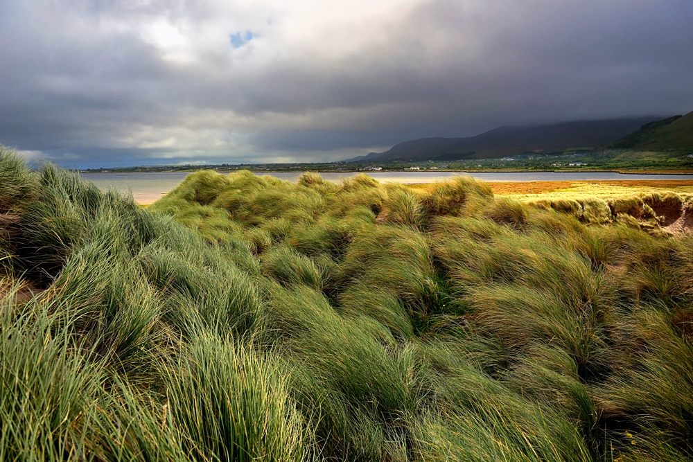 Mueller Franz The Wild Atlantic Way